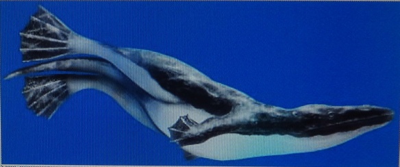 The ancient whale had forefeet and a hind legs like this.