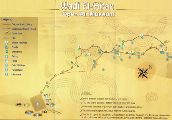 Wadi Al-Hitan Open Air Museum Map